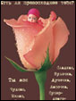 http://scards.ru/cards/love/chudo/you_are_my_ru0.jpg