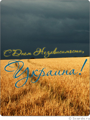 Ярко-желтое пшеничное поле, обрамленное темно-синим небом - символы желто-голубой расцветки национального флага Украины.