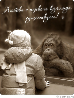 Маленькая девочка пристально смотрит в глаза, находящейся напротив нее, обезьяне: любовь с первого взгляда существует.