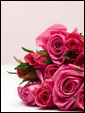 Ярко-красные розы - лучший подарок на 8 марта любимой женщине!