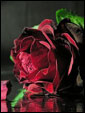Престижная красная роза отражается в стекляной поверхности стола, выражая чувства отправителя открытки.