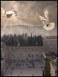 Молящаяся во время восхода солнца у стены плача группа евреев просит мира Иерусалима.